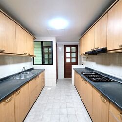 Simei Green Condominium (D18), Condominium #272376361